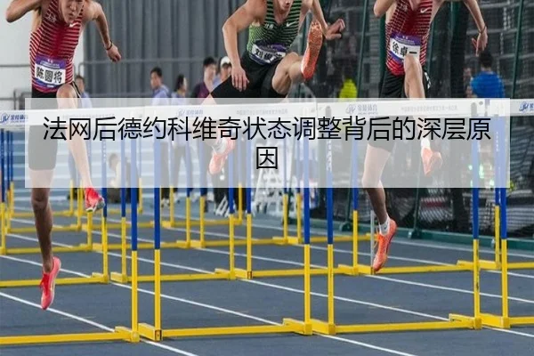 法网后德约科维奇状态调整背后的深层原因